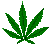 Weed